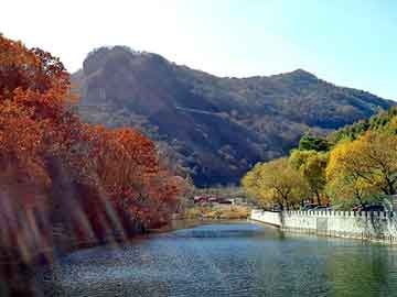 新澳天天免费资料大全，秦岚 陆川